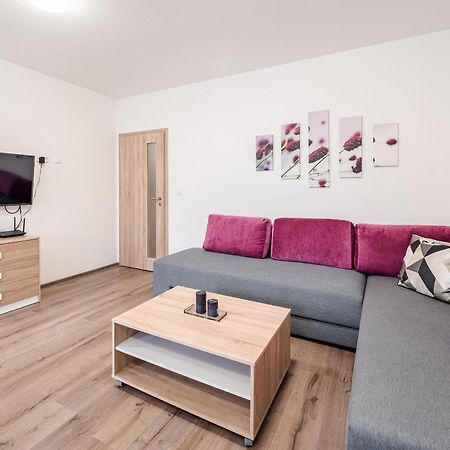 Private Luxury Apartments Frymburk Pokoj fotografie